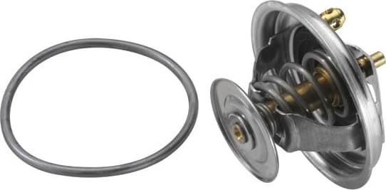 termostatas, aušinimo skystis - image 2