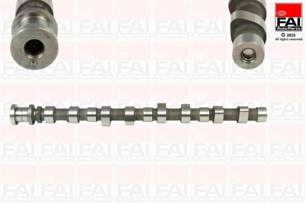 Camshaft C288