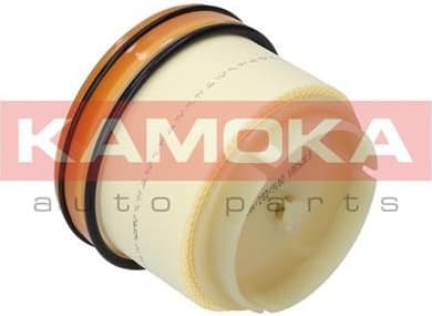 Fuel Filter F305301 - image 2