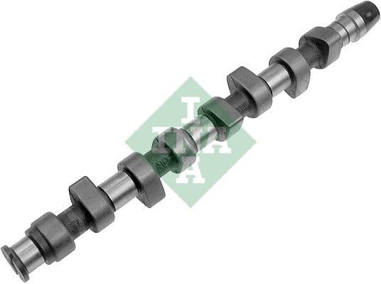Camshaft 428006410