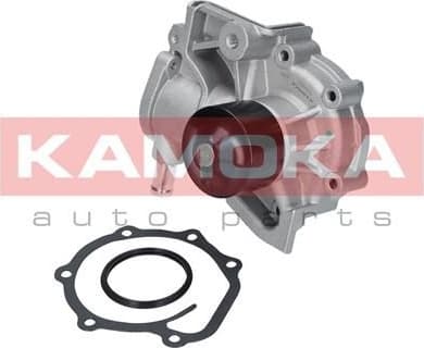 Water Pump, engine cooling T0260