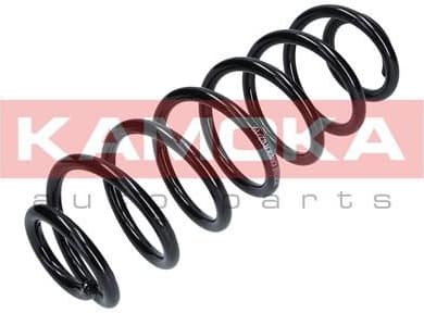 Coil spring 2120268