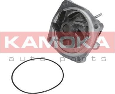 Water Pump, engine cooling T0006 - image 2