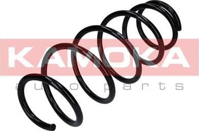 Coil spring 2110328