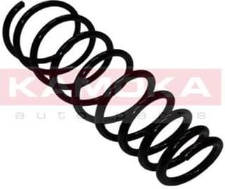 Coil spring 2110189