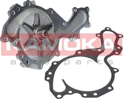 Water Pump, engine cooling T0240