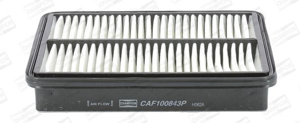Air Filter CAF100843P