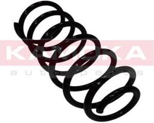Coil spring 2110077