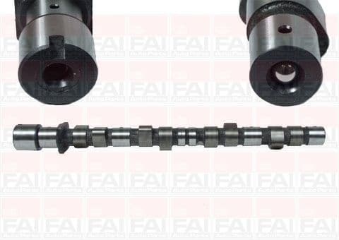 Camshaft C175