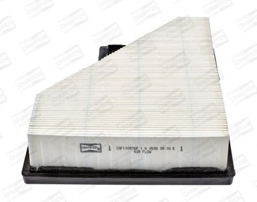 Air Filter CAF100876P