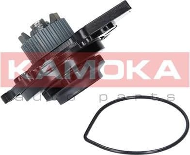 Water Pump, engine cooling T0031