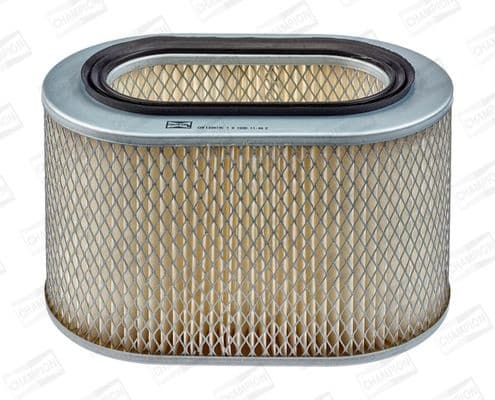Air Filter CAF100419C