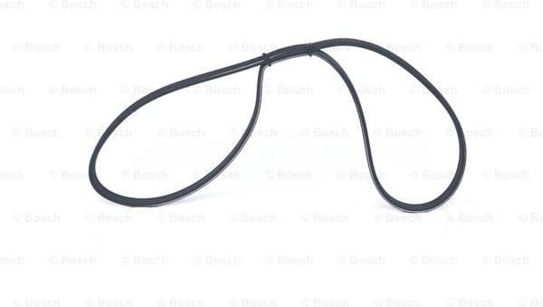 V-ribbed Belt 1987947884