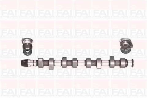 Camshaft C305