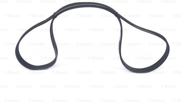 V-ribbed Belt 1987948499