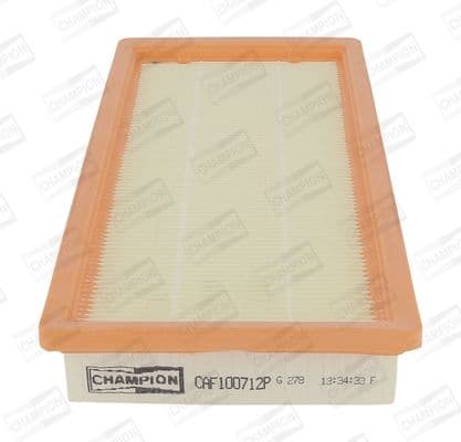 Air Filter CAF100712P