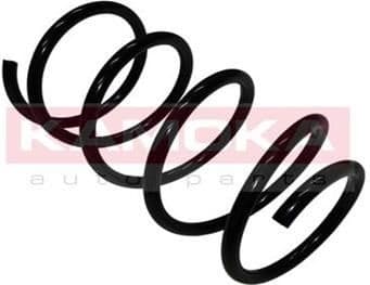 Coil spring 2110257