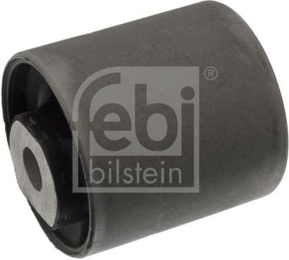 Mounting, control/trailing arm 100354