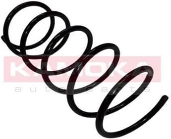 Coil spring 2110213