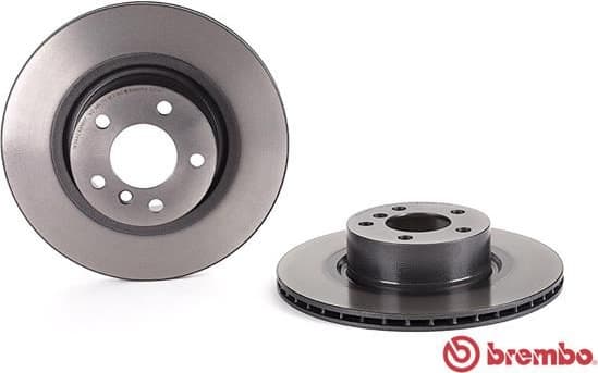 Brake discs kit rear, (2pcs), Top Quality 09.B569.11 - image 2
