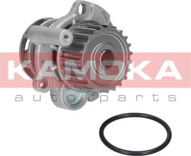 Water Pump, engine cooling T0033
