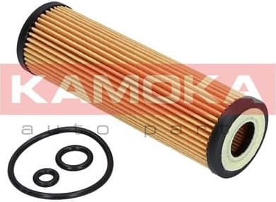 Oil Filter F109001