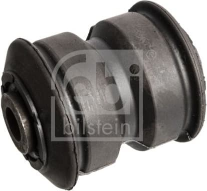 Bush, spring eye 08428