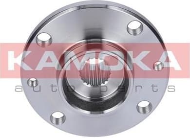 Wheel Hub 5500107