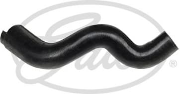Radiator Hose 3872