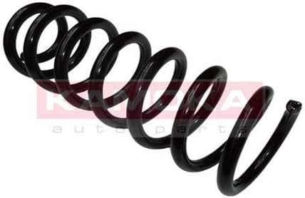 Coil spring 2120203