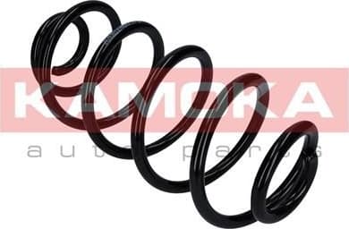 Coil spring 2120303