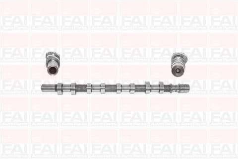Camshaft C256