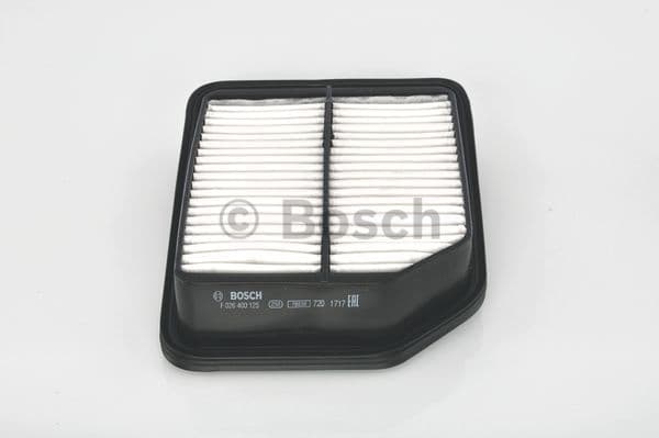 Air Filter F026400125