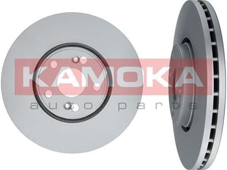 Brake Disc 1031018