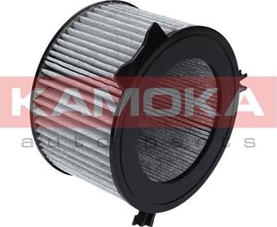 Filter, cabin air F501301 - image 3