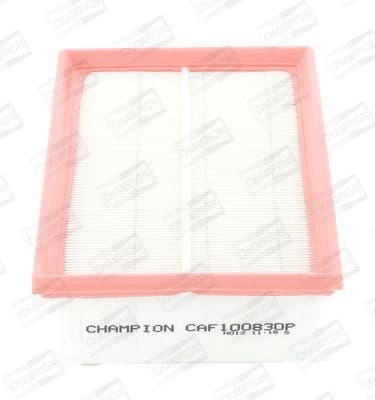 Air Filter CAF100830P