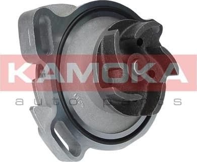 Water Pump, engine cooling T0275