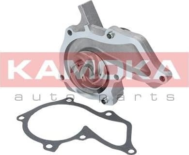 Water Pump, engine cooling T0134