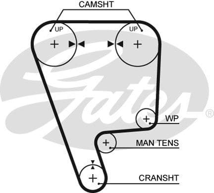 Timing Belt PowerGrip™ 5348XS - image 2