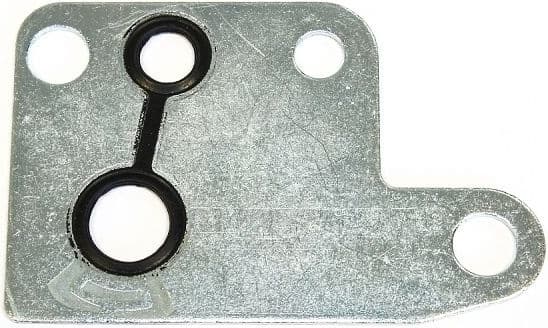 Gasket, vacuum pump 251.080