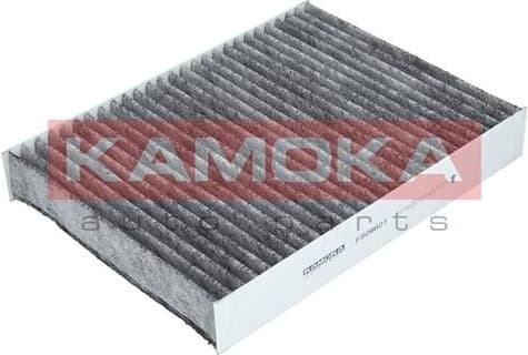 Filter, cabin air F508601