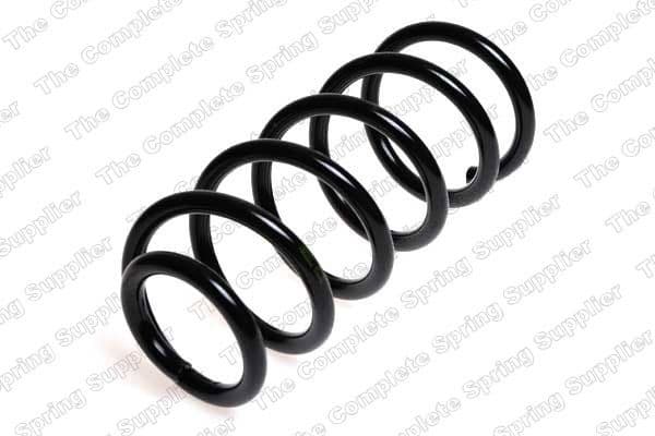 Suspension Spring 65031