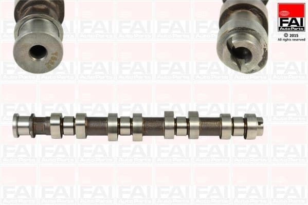 Camshaft C306