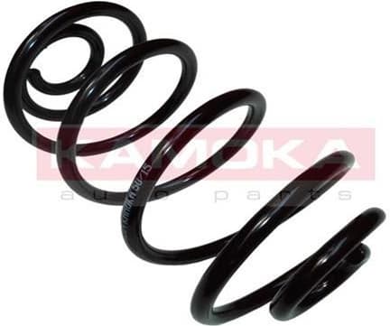 Coil spring 2120264