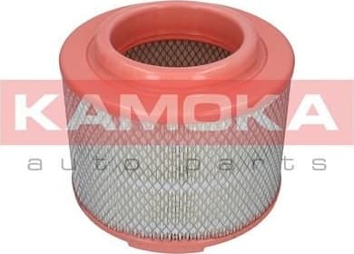 Air Filter F236201 - image 2