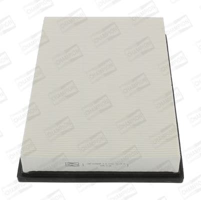 Air Filter CAF100883P