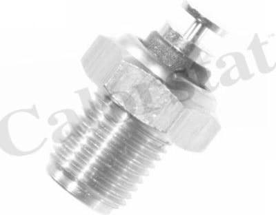 Sensor water temperature WS2521 - image 2