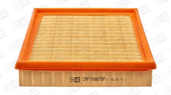 Air Filter CAF100678P