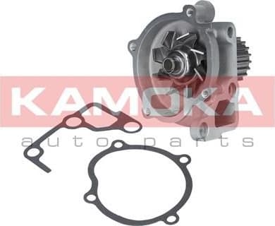 Water Pump, engine cooling T0170
