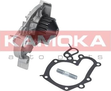 Water Pump, engine cooling T0241